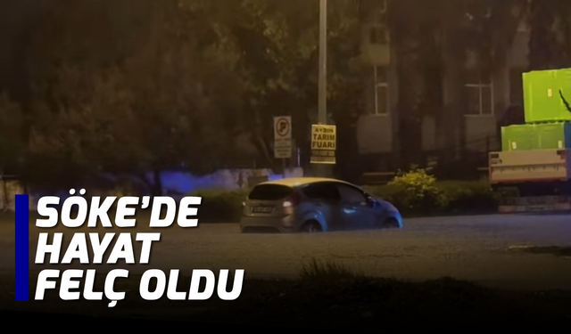 Söke'de hayat felç oldu