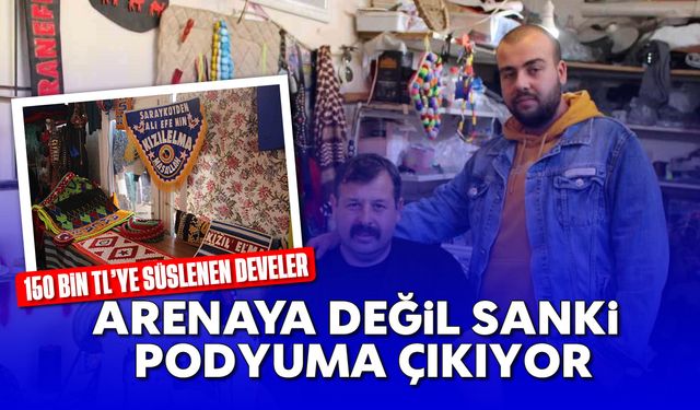 150 bin TL’ye süslenen develer, arenaya değil sanki podyuma çıkıyor