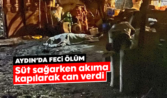 Aydın’da feci ölüm: Süt sağarken akıma kapılarak can verdi