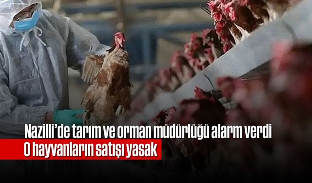 Nazilli’de tarım ve orman müdürlüğü alarm verdi! O hayvanların satışı yasak