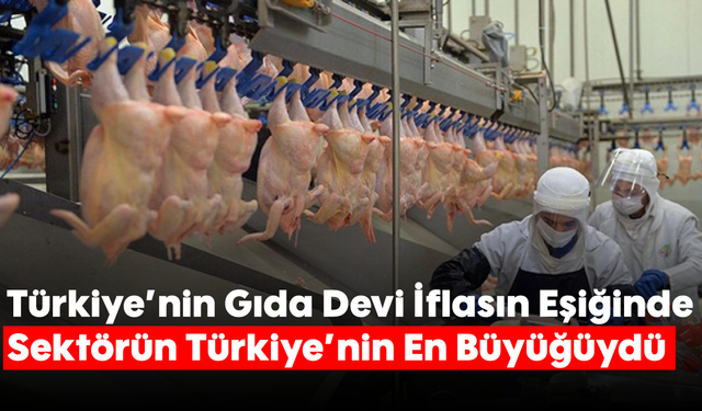 Türkiye'nin Gıda Devi İflasın Eşiğinde: Sektörün Türkiye'nin En Büyüğüydü