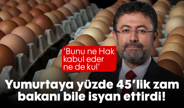 Yumurtaya yüzde 45'lik zam bakanı bile isyan ettirdi!