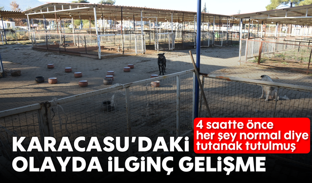 Karacasu'daki olayda ilginç gelişme: 4 saatte önce her şey normal diye tutanak tutulmuş