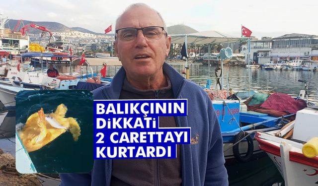 Balıkçının dikkati 2 carettayı kurtardı