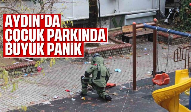 Aydın'da çocuk parkında büyük panik