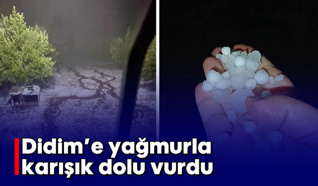 Didim'e yağmurla karışık dolu vurdu