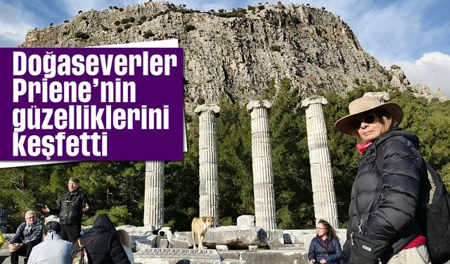 Doğaseverler Priene'nin güzelliklerini keşfetti