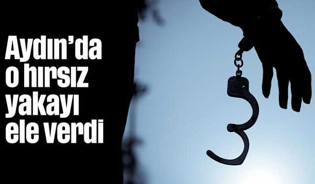 Aydın'da o hırsız yakayı ele verdi