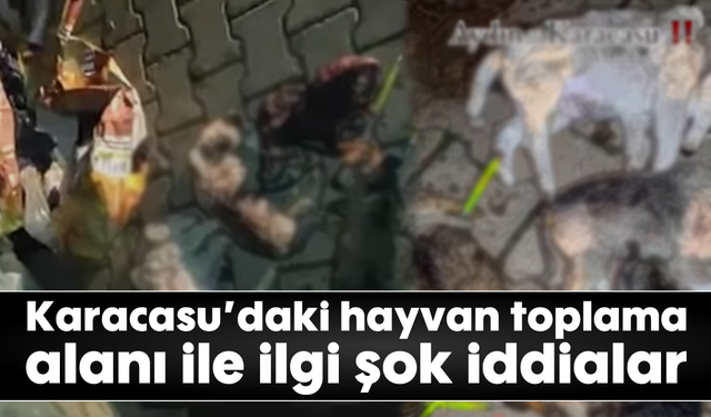 Karacasu'daki hayvan toplama alanı ile ilgi şok iddialar