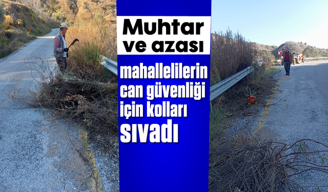 Muhtar ve azası, mahallelilerin can güvenliği için kolları sıvadı