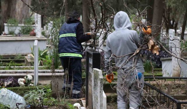 Nazilli’de devrilen ağaçlar yakacak olarak kullanılacak