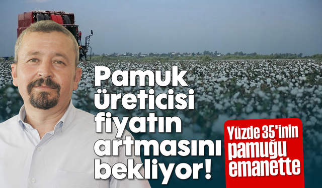 Pamuk üreticisi, fiyatın artmasını bekliyor! Yüzde 35’inin pamuğu emanette