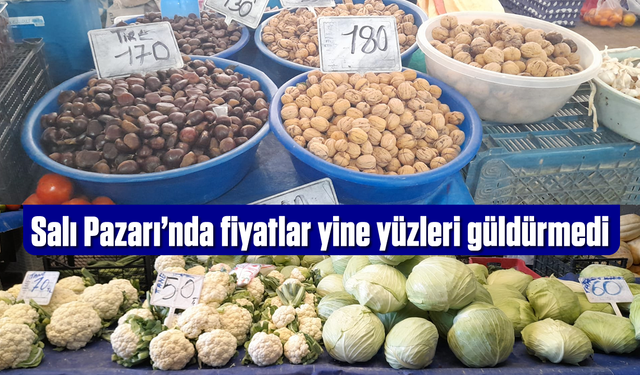 Salı Pazarı'nda fiyatlar yine yüzleri güldürmedi