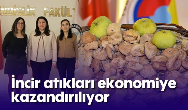 İncir atıkları ekonomiye kazandırılıyor