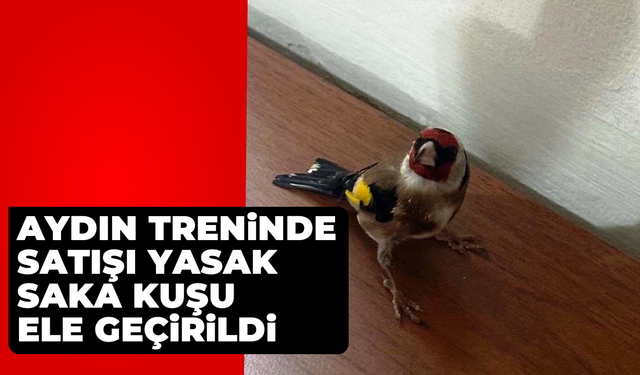 Aydın treninde satışı yasak saka kuşu ele geçirildi