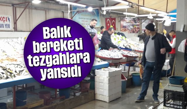 Balık bereketi tezgahlara yansıdı