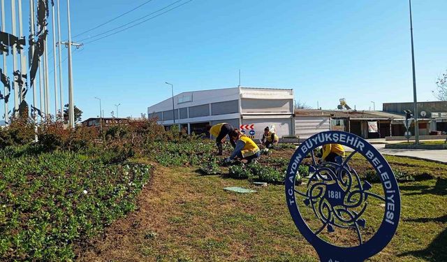 Başkan Çerçioğlu Didim’i rengarenk çiçekler ile süslüyor