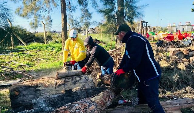 Didim’de budanan ağaçlar ihtiyaç sahiplerine yakacak oluyor