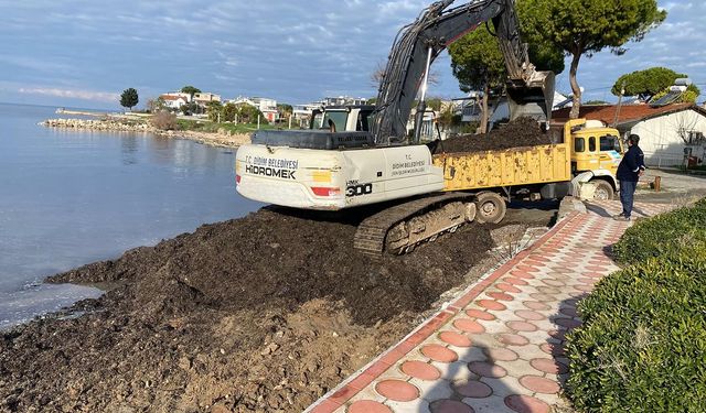 Didim'de sahildeki yosunlar temizlendi