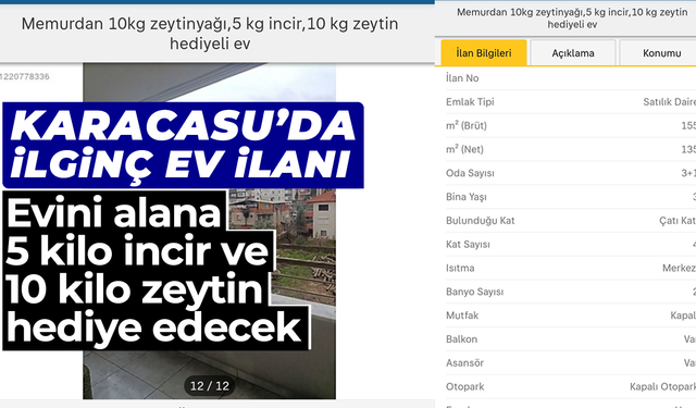 Karacasu'da ilginç ev ilanı: Evini alana 5 kilo incir ve 10 kilo zeytin hediye edecek