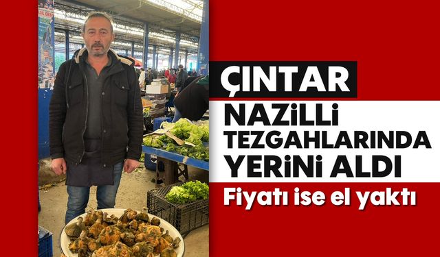 Çıntar, Nazilli tezgahlarda yerini aldı