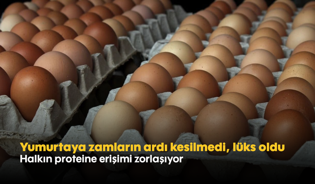 Yumurtaya zamların ardı kesilmedi, lüks oldu! Halkın proteine erişimi zorlaşıyor