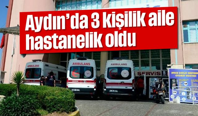 Aydın’da 3 kişilik aile hastanelik oldu