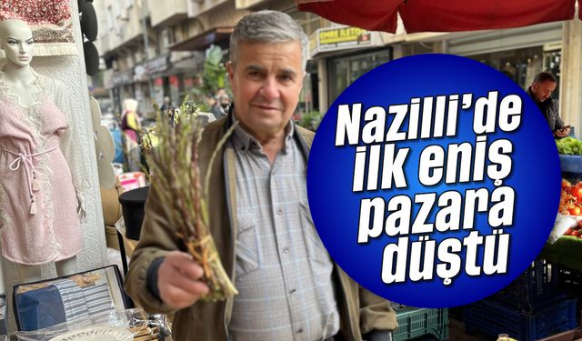 Nazilli'de ilk eniş pazara düştü