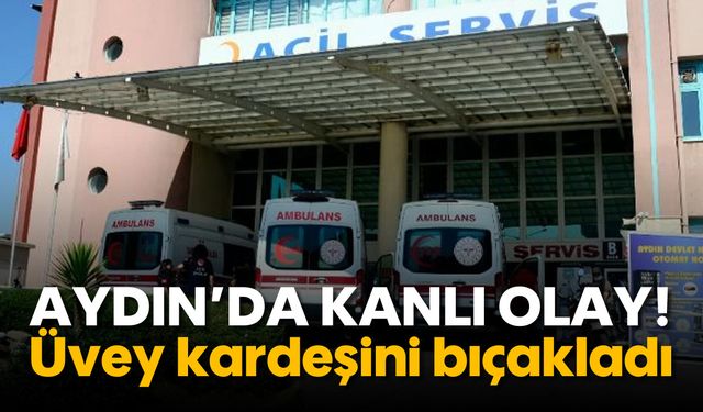 Aydın'da üvey kardeşlerin kavgasında kan aktı