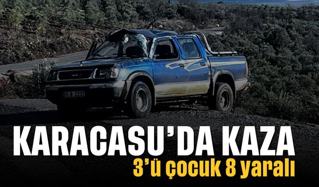 Karacasu'da kaza; 3'ü çocuk 8 yaralı