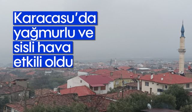 Karacasu'da yağmurlu ve sisli hava etkili oldu