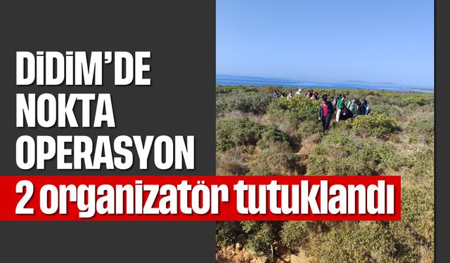 Didim'de nokta operasyon; 2 organizatör tutuklandı