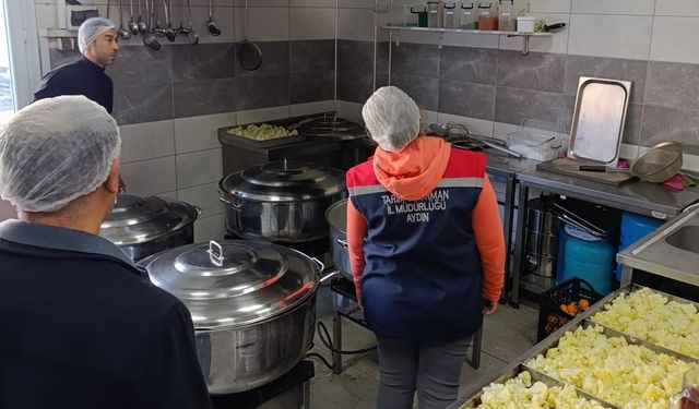 Söke’de 1 yılda 2 bin gıda işletmeleri denetlendi