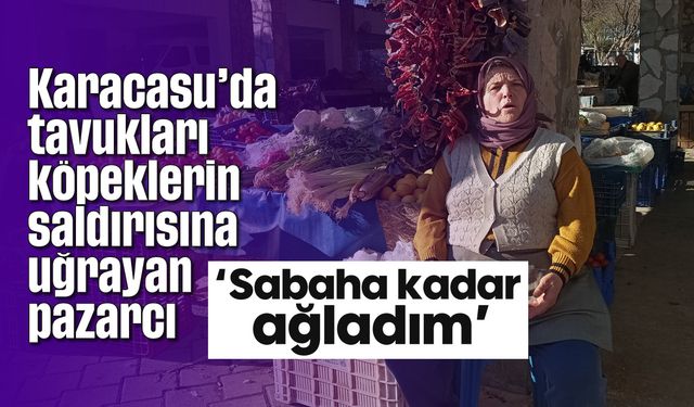 Karacasu'da tavukları köpeklerin saldırısına uğrayan pazarcı: 'Sabaha kadar ağladım'