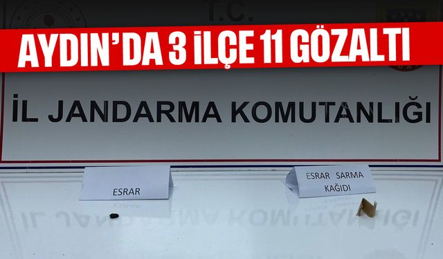 Aydın’da 3 ilçe 11 gözaltı