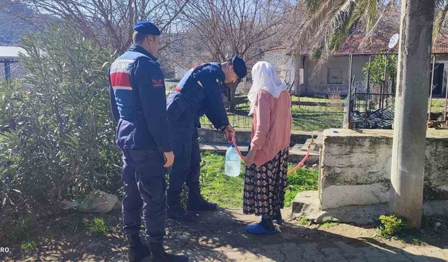 Aydın’da yaşlı çınarlar unutulmuyor