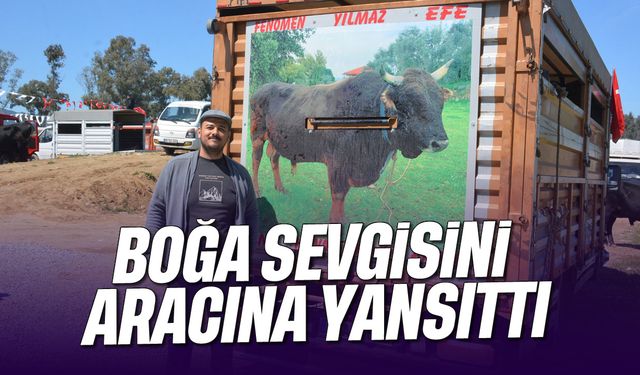 Boğa sevgisini aracına yansıttı