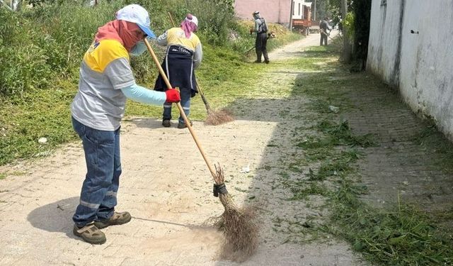 Belediye ekipleri Akköy’de otlara geçit vermiyor