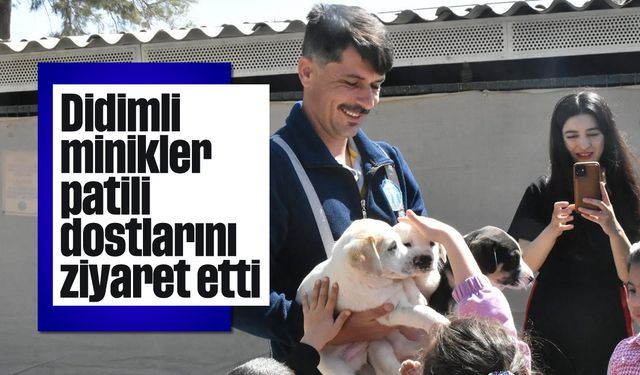 Didimli minikler, patili dostlarını ziyaret etti