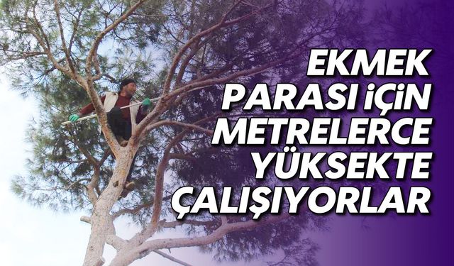 Ekmek parası için metrelerce yüksekte çalışıyorlar