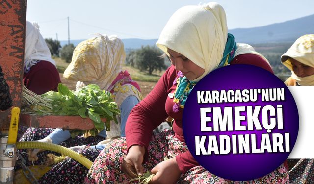 Karacasu'nun emekçi kadınları