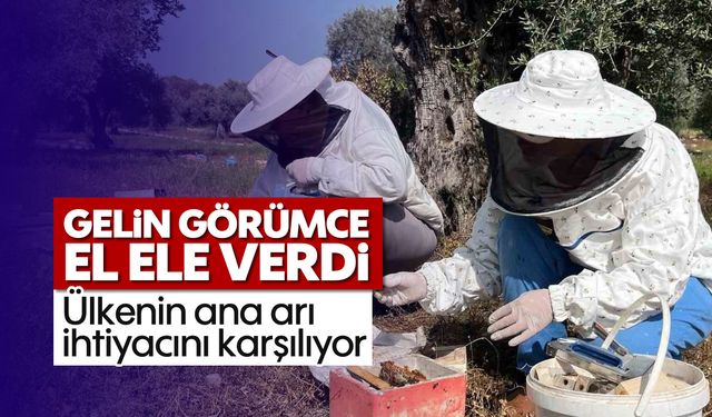 Gelin-görümce el ele verdi, ülkenin ana arı ihtiyacını karşılıyor