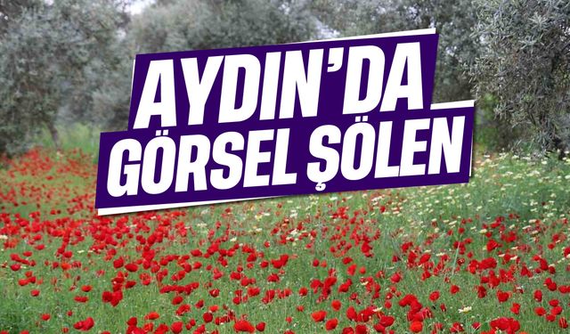 Aydın'da görsel şölen