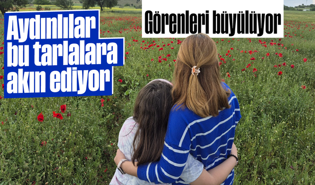 Aydınlılar, bu tarlalara akın ediyor: Görenleri büyülüyor