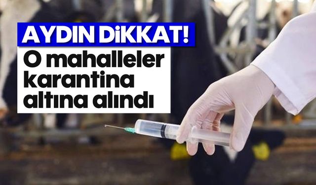 Aydın dikkat! O mahalleler karantina altına alındı