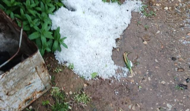Karacasu'da dolu yağışı etkili oldu