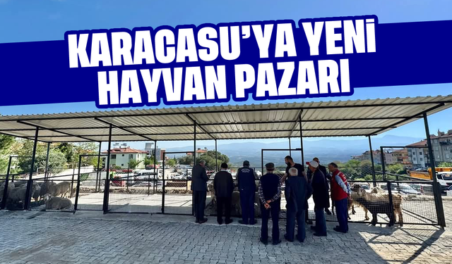 Karacasu'ya yeni hayvan pazarı