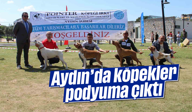 Aydın’da köpekler podyuma çıktı
