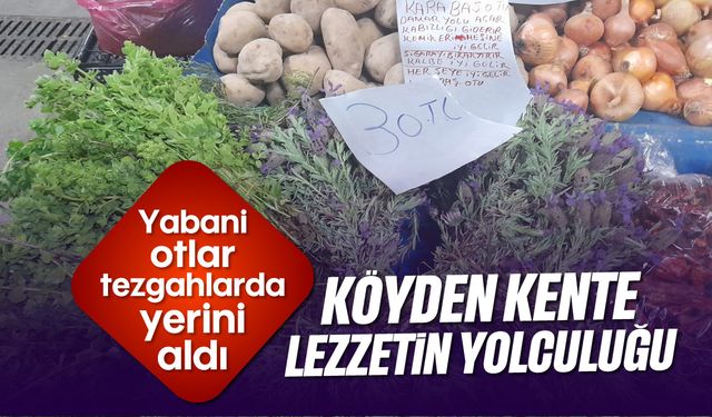 Yabani otlar tezgahlarda yerini aldı: Köyden kente şifalı lezzetin yolculuğu