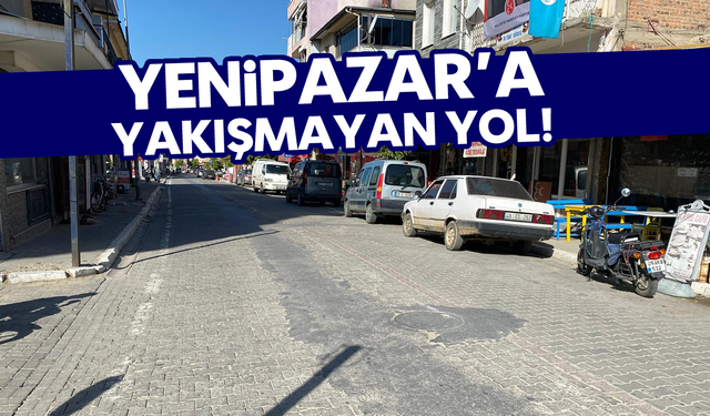 Yenipazar’a yakışmayan yol!
